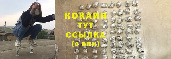 прущие грибы Нягань