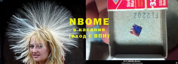 PSILOCYBIN Няндома