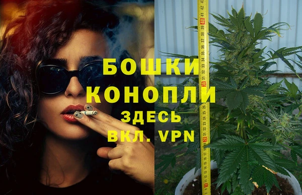 PSILOCYBIN Няндома
