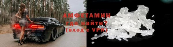 прущие грибы Нягань