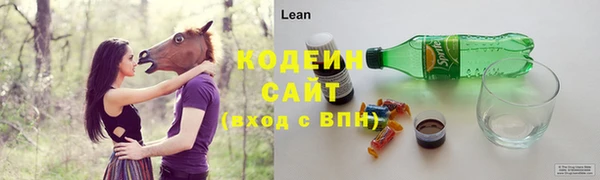 прущие грибы Нягань