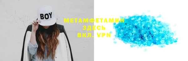 прущие грибы Нягань