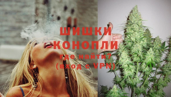 прущие грибы Нягань