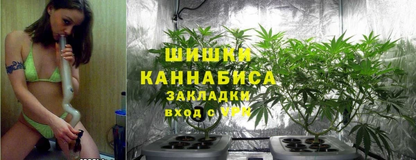 PSILOCYBIN Няндома