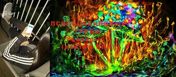 прущие грибы Нягань