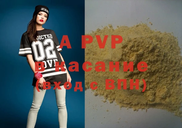 прущие грибы Нягань
