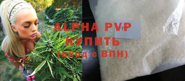 PSILOCYBIN Няндома