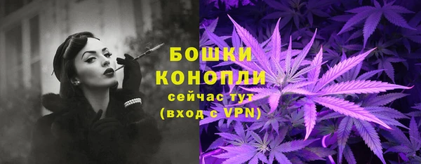 прущие грибы Нягань