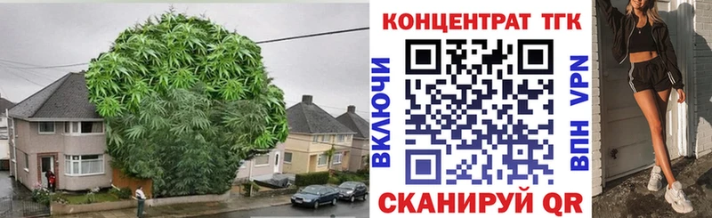 Дистиллят ТГК THC oil  Саки 