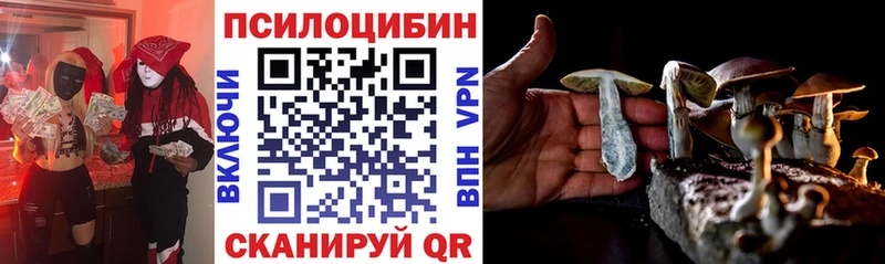 Галлюциногенные грибы мицелий  Саки 